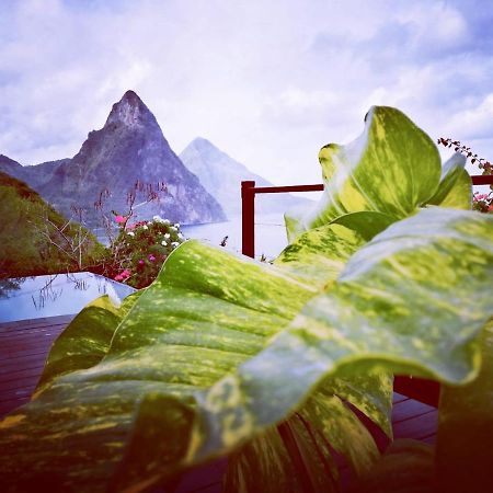 Moringa Villa Studio 1 Soufriere Luaran gambar